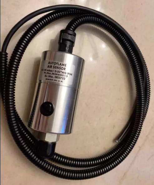 AUTOFLAME MM60013 Sensors